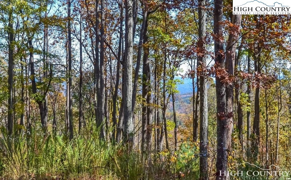 Lot 8 Little Laurel Rd, Boone, NC 28607 - photo 1