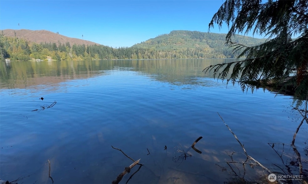 65 +/- Acres, 3 parcels with 2,600+/- feet of Mineral Lake Frontage