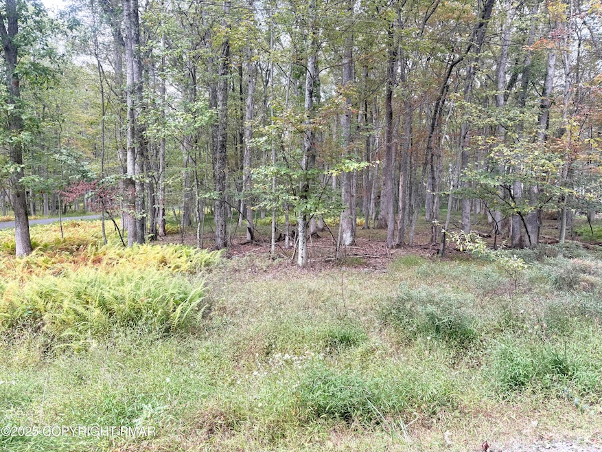 0 Willow Dr, Penn Forest Township, PA 18229 - photo 1