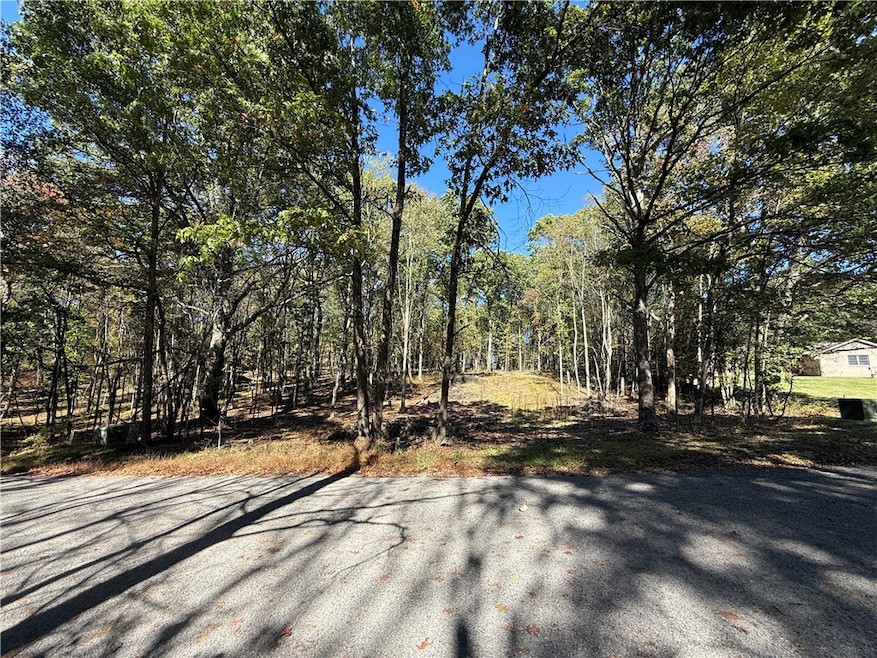 121 Helga Dr, Clay Township, PA 16061 - photo 1