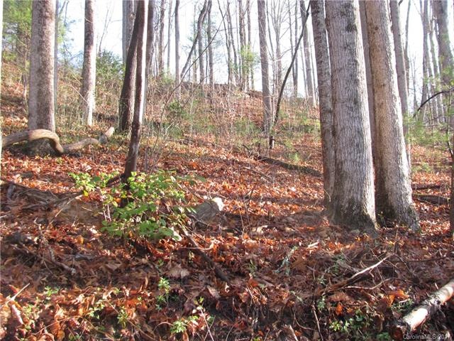 00 Sandpiper Palisades St unit 98, Hendersonville, NC 28792 - photo 1