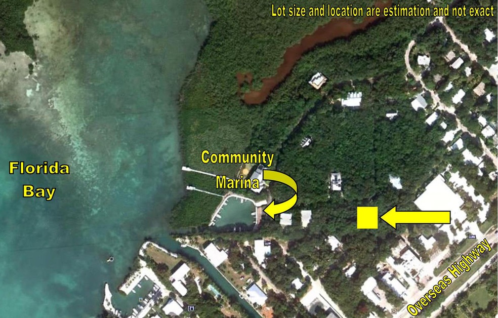 Satellite View