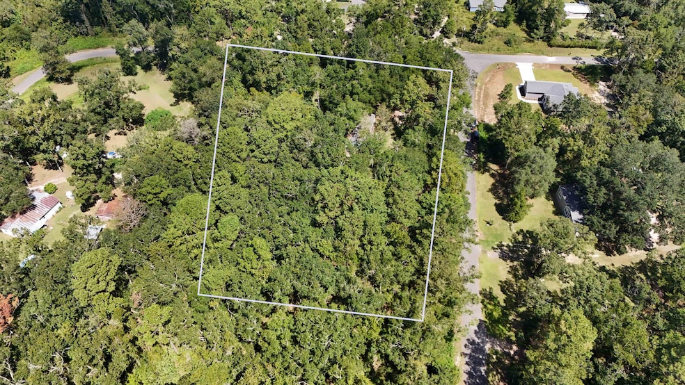 40 Westview Ln, Monticello, FL 32344 - photo 1