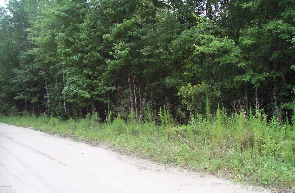 LOT 10 Osceola, Middleburg, FL 32068 - photo 1