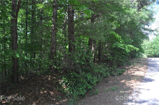 701 Chestnut Trail unit Lot 8, Hendersonville, NC 28792 - photo 1
