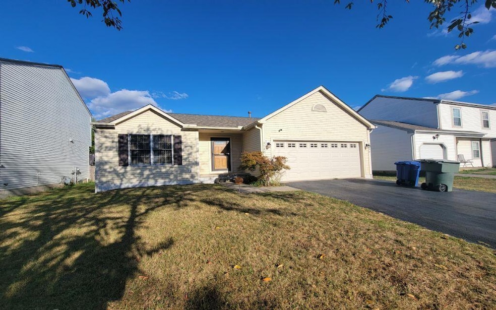 3230 saint bernard_(8)
