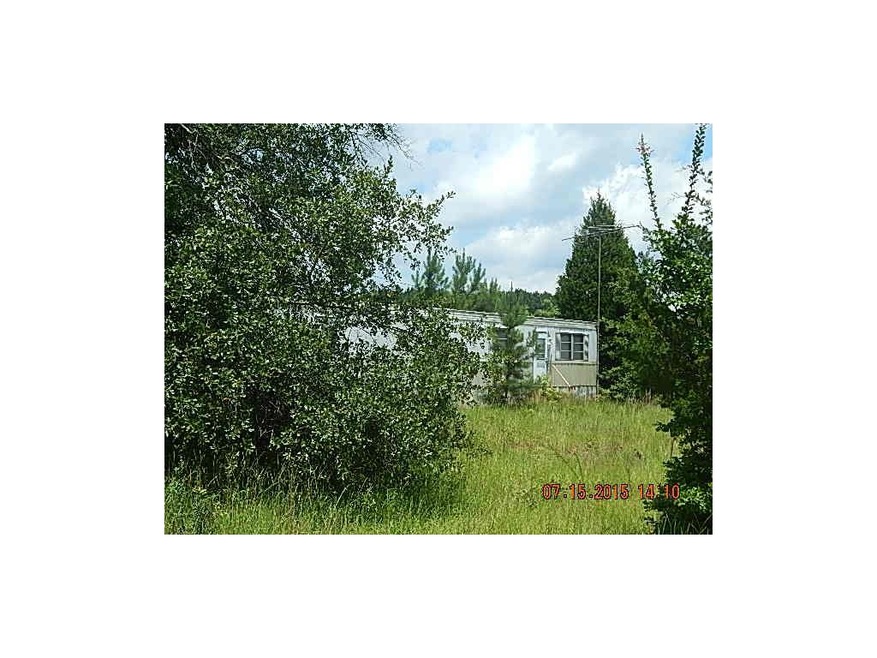 3195 Alvaton Rd, Gay, GA 30218 - photo 1