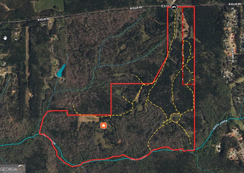 312.37 AC W Ellis Rd, Griffin, GA 30223 - photo 1