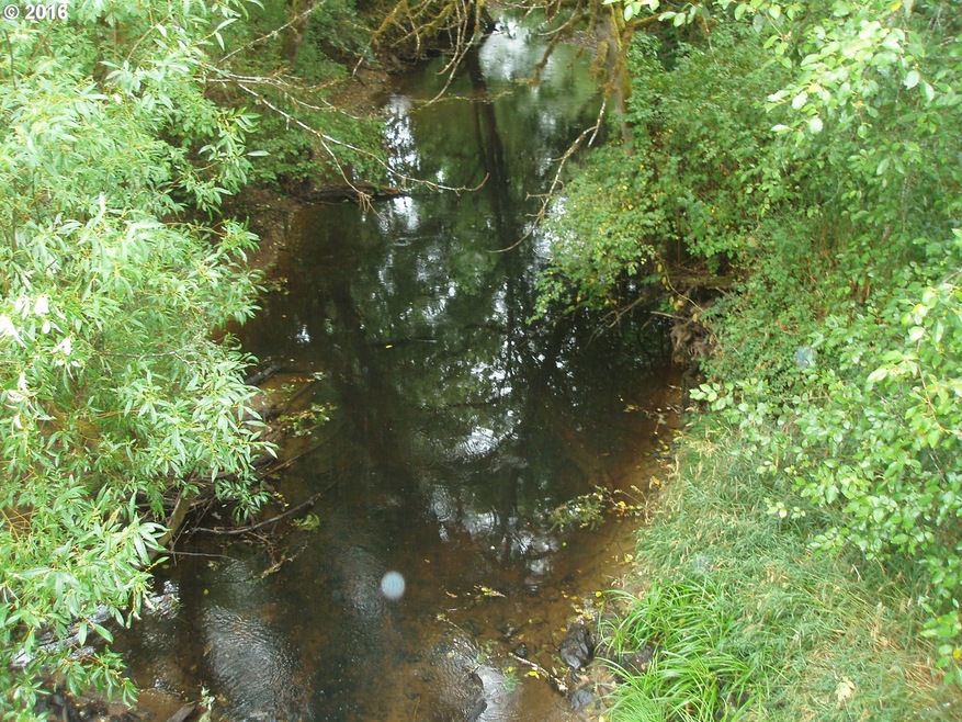 0 Blitz Ln, Blodgett, OR 97326 - photo 1