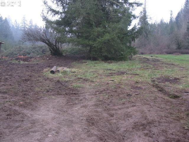 29573 S Hult Rd, Colton, OR 97017 - photo 1