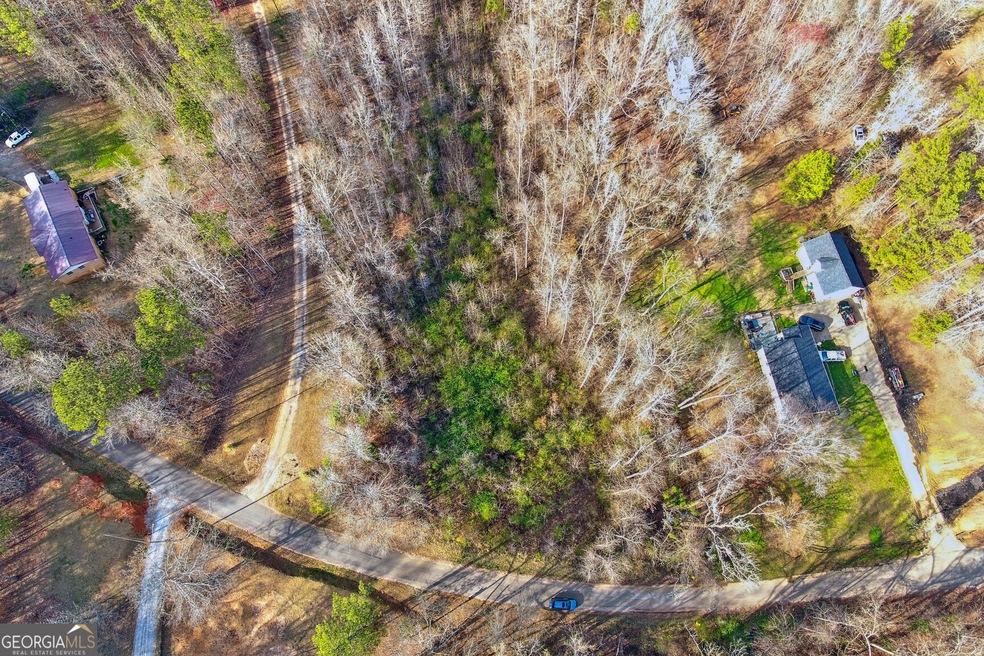 0 Old Newnan Rd unit 10267528, Whitesburg, GA 30185 - photo 1