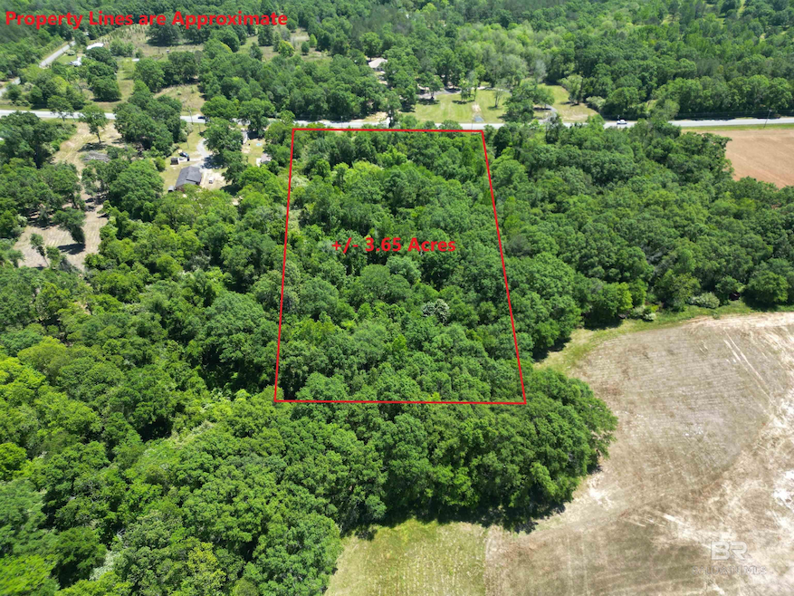 10961 Highway 97, Mc David, FL 32568 - photo 1