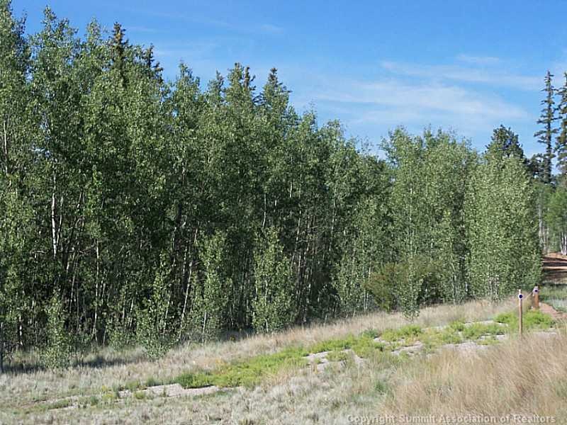 Land/Lot.