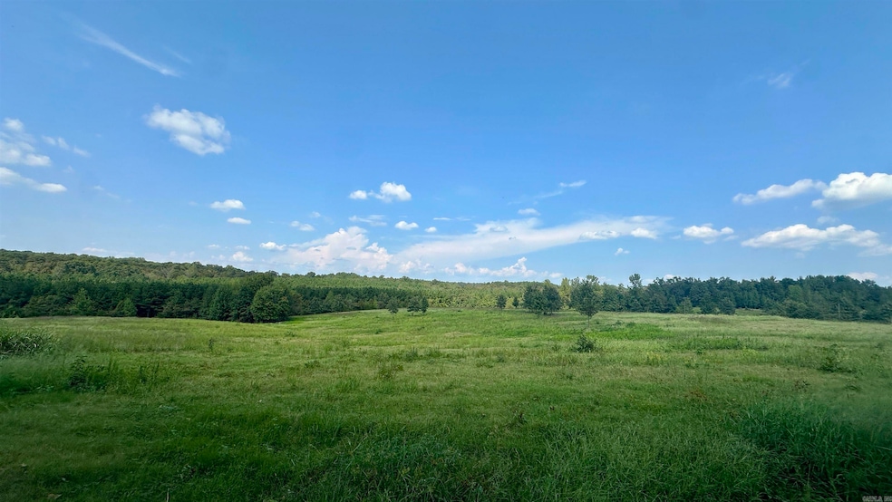 000 Goff Rd Via Easement, Quitman, AR 72131 - photo 1