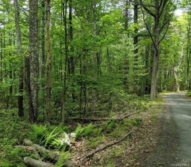 01 Allen Rd, Mamakating, NY 12790 - photo 1