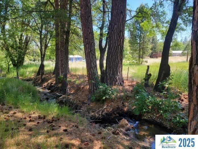 000 Dirt Pine St, Janesville, CA 96114 - photo 1