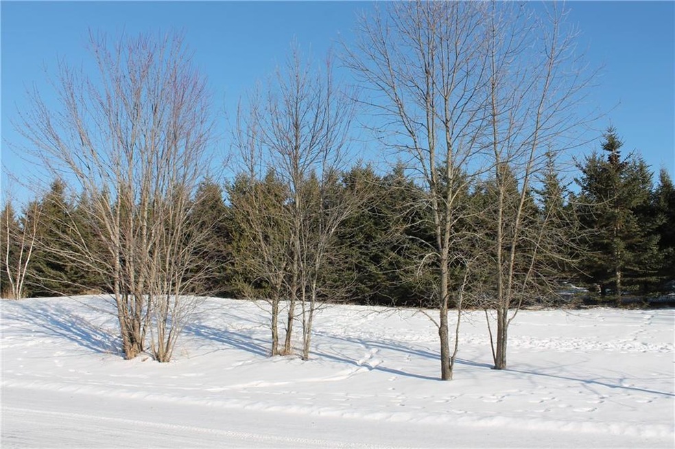 Lot 3 26 1 4 St, Chetek, WI 54728 - photo 1