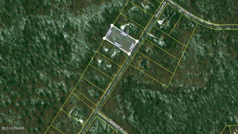 0 Birch Leaf Dr, Dingman Township, PA 18337 - photo 1