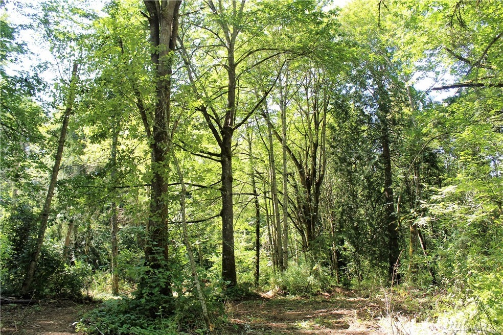 108TH 108th Ave E, Graham, WA 98338 - photo 1