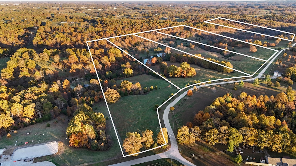 000 Weatherby Dr unit 79.16 Acres, Fordland, MO 65652 - photo 1