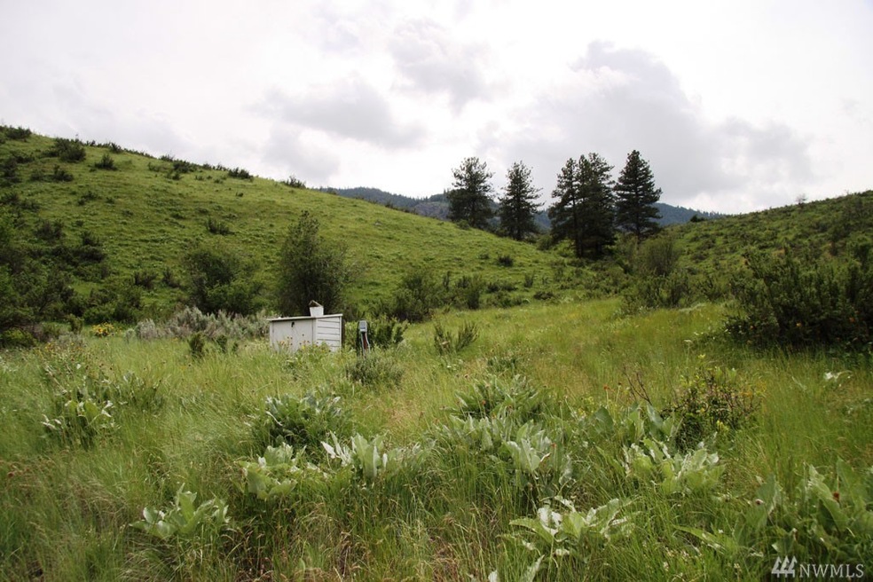 803 Twisp Carlton Rd, Twisp, WA 98856 - photo 1