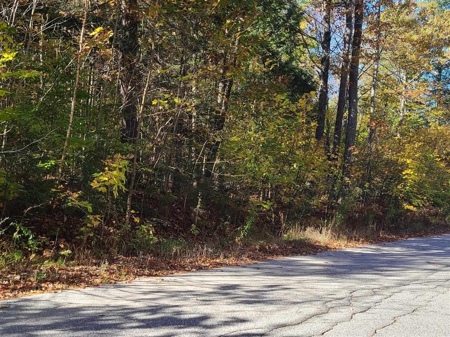 00 Long Ridge Rd unit Lot 2 AKA Lot 22, Sanbornville, NH 03872 - photo 1