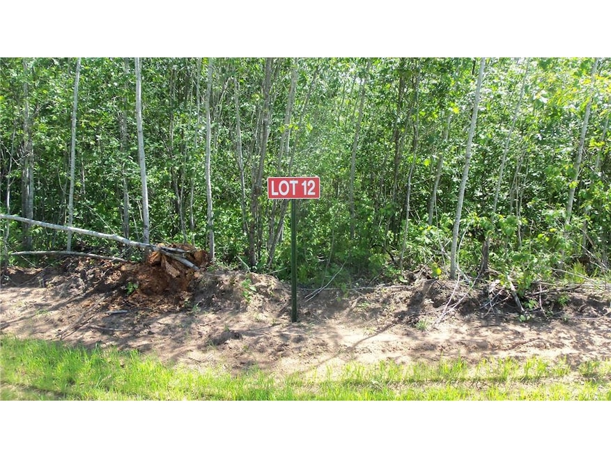 LOT 12 Red Maple Ln, Siren, WI 54872 - photo 1