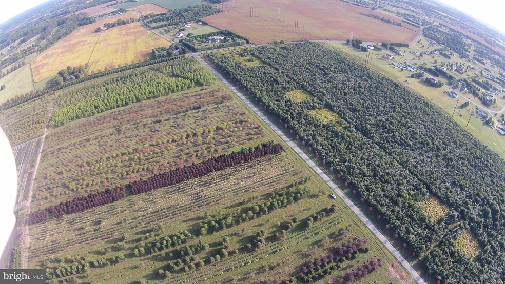 Lot 2 Old Telegraph Rd, Chesapeake City, MD 21915 - photo 1