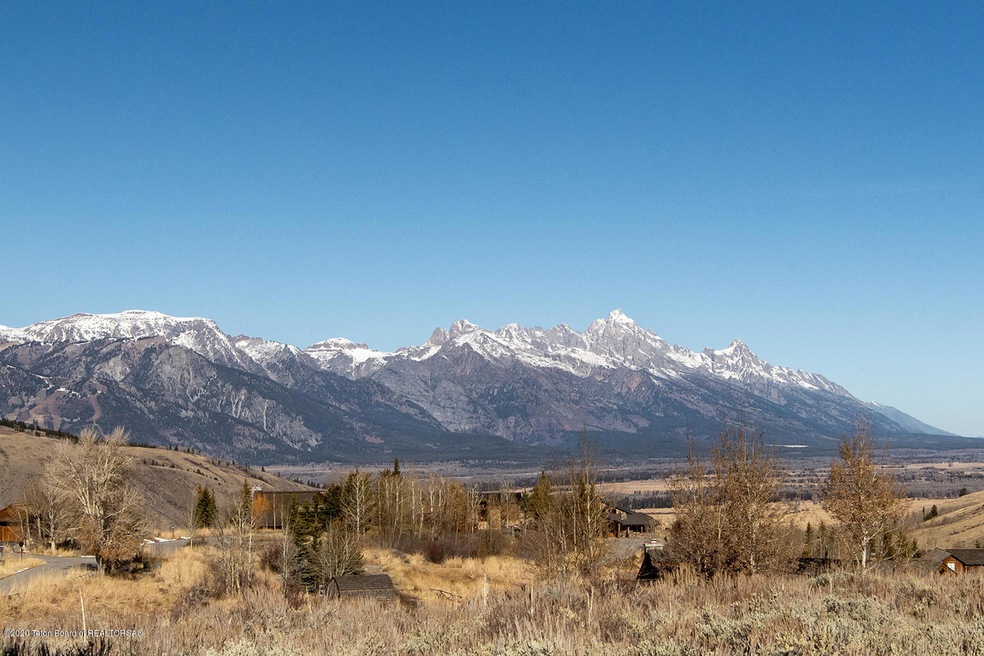 Teton View