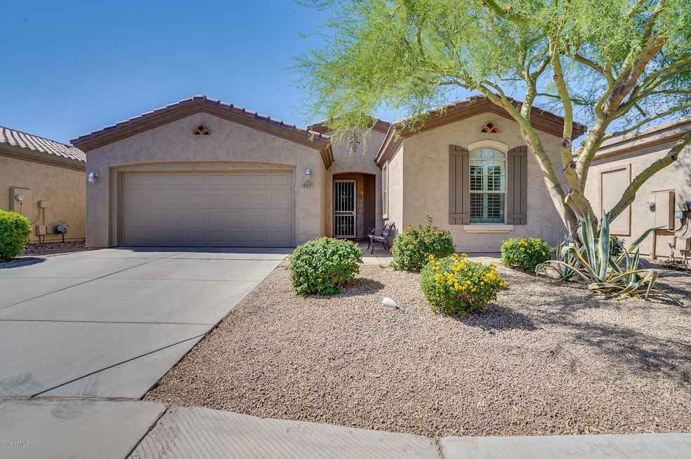 4331 E Ficus Way