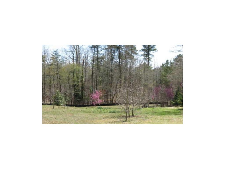 4795 Destitute Way, Gainesville, GA 30506 - photo 1