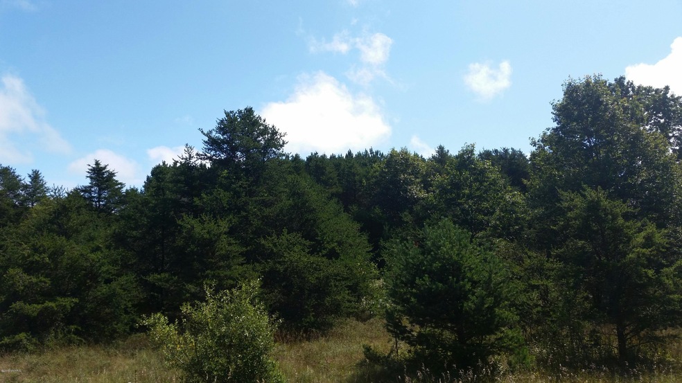 20150826_123009_resized