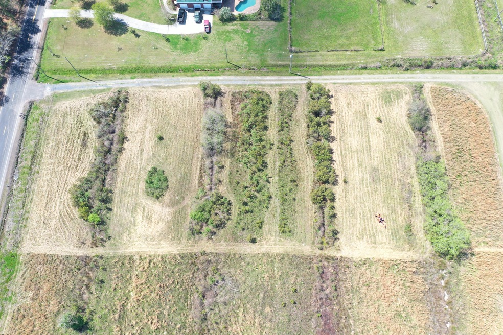 DJI_0655