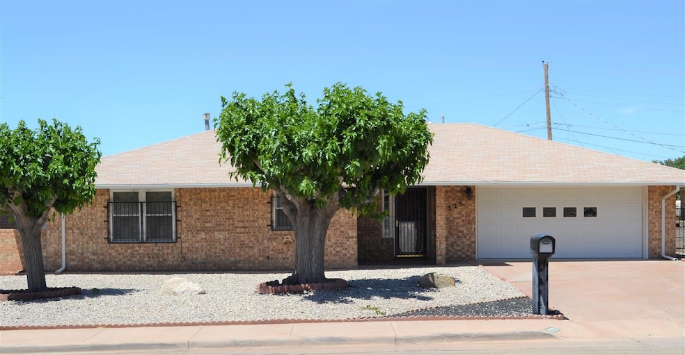 1325 Scenic Dr, Alamogordo, NM 88310 - photo 1