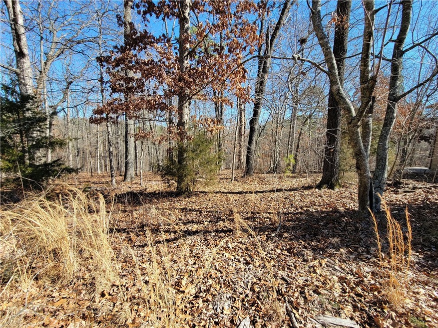 0 Kirkbridge Ln, Bella Vista, AR 72714 - photo 1