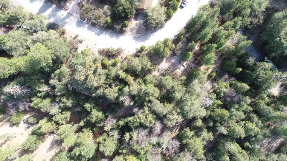 Ariel View from above Lot 9