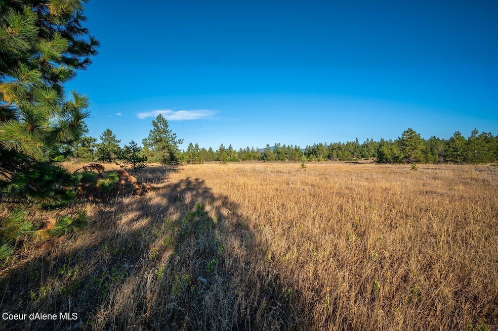 NNA Arden Ln Lot 2, Athol, ID 83801 - photo 1