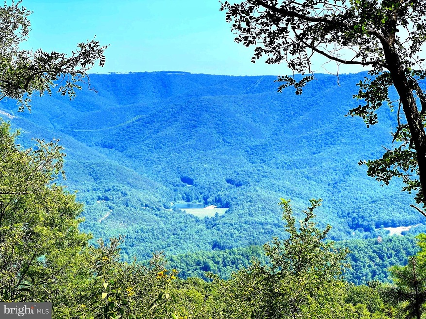 7751 Greenwalt Gap, Franklin, WV 26807 - photo 1