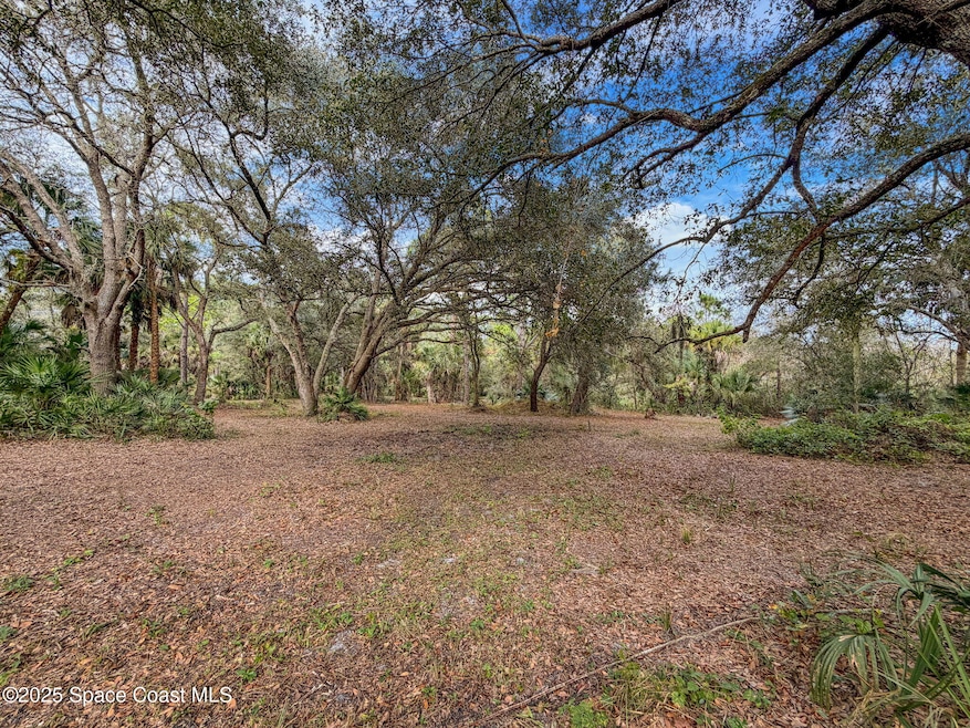 01 Bear Trail, West Canaveral Groves, FL 32926 - photo 1