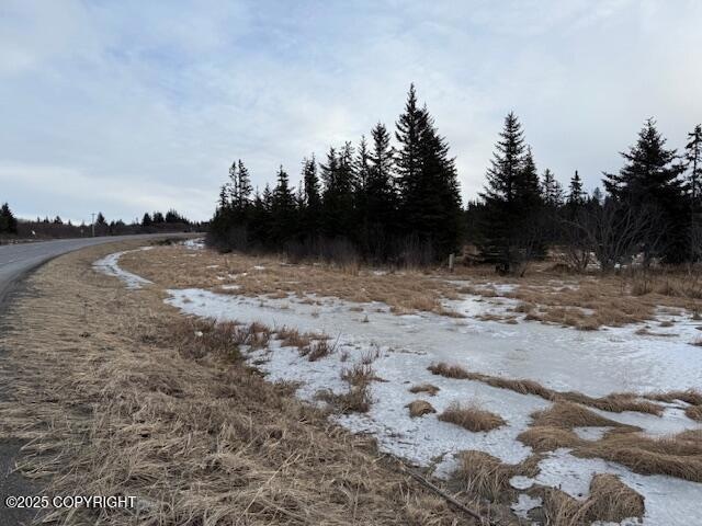 26220 Sterling Hwy, Anchor Point, AK 99556 - photo 1