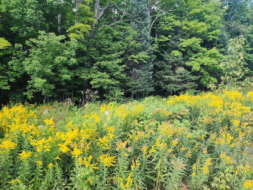 ON East Ln, Crandon, WI 54520 - photo 1