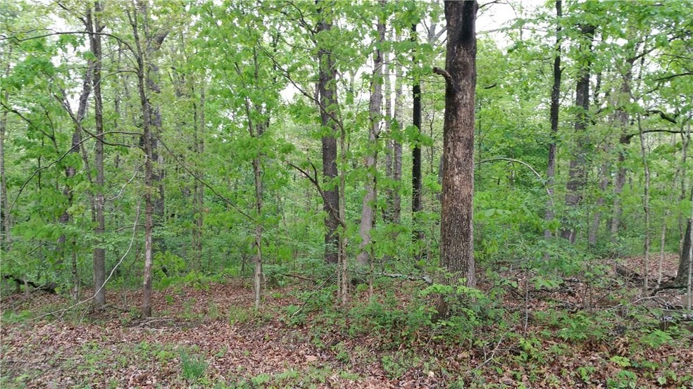 0 Ipswich Dir unit 1014743, Bella Vista, AR 72714 - photo 1