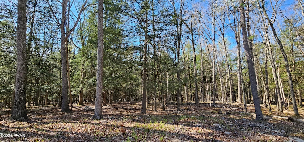 Lot 85 Perry Pond Rd, Tusten, NY 12764 - photo 1