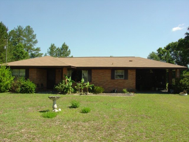 Main View