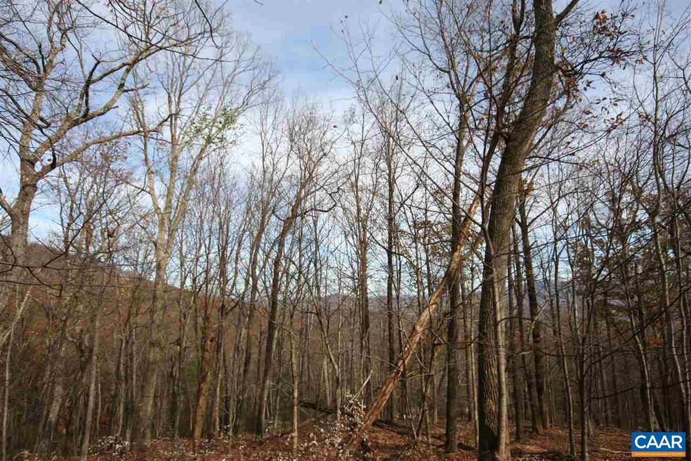 1450 Crawfords Climb unit RODES VALLEY FOOTHIL, Nellysford, VA 22958 - photo 1