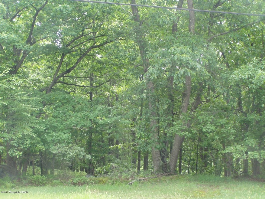 1202 Forest Dr, Canadensis, PA 18325 - photo 1