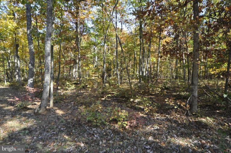 5815 Gaines Manor Ct, Broad Run, VA 20137 - photo 1