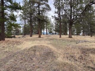 0 Widgeon Dr unit 220212170, Bonanza, OR 97623 - photo 1