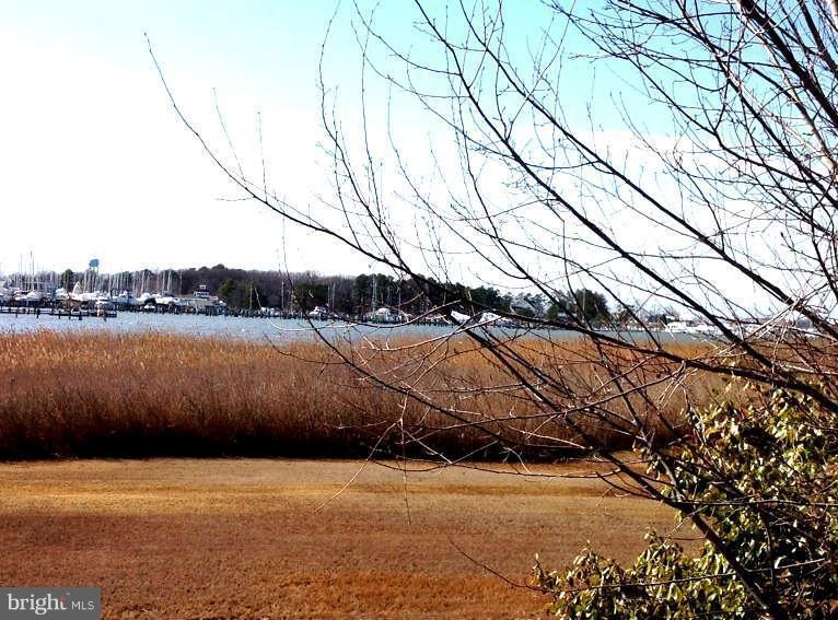 5902 N Hawthorne Ave, Rock Hall, MD 21661 - photo 1