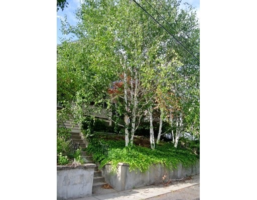 45 Hosmer St, Watertown, MA 02472 - photo 1